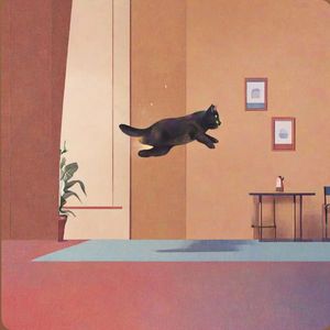 我的猫会后空翻