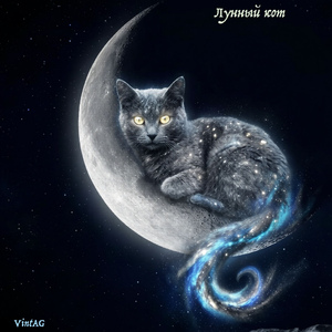 Лунный кот