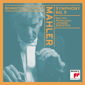 Symphony No. 9 in D Major:Id. Mit Wut - Allegro risoluto