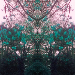 Lakshmi (Extended Version)