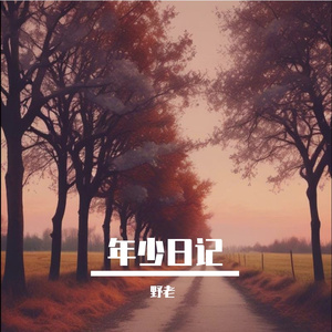 年少日记