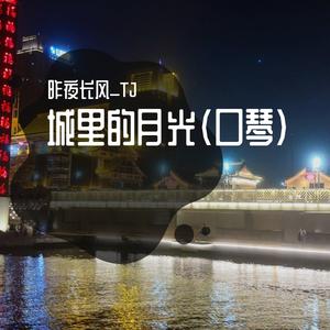 卖花姑娘（朝鲜电影《卖花姑娘》插曲）-口琴