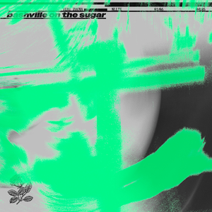 Bashville on the Sugar