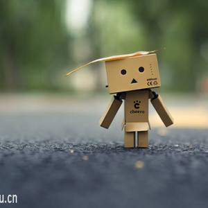 把你的忧伤埋在我心里