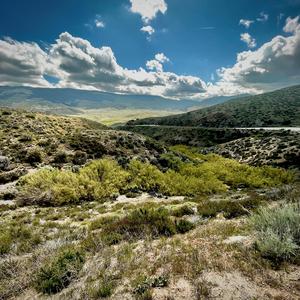 momma didn't raise no fool