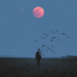 迷幻旋律阿比萨