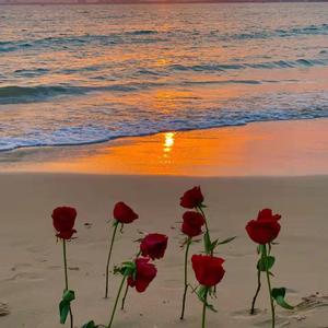 你要过的比我好