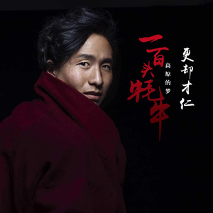 一百头牦牛 (高原的梦)