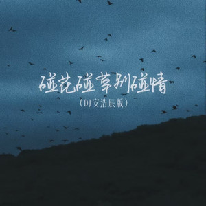 碰花碰草别碰情（DJ安浩辰版）