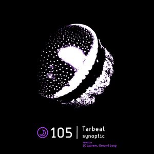 Synoptic (Original Mix)