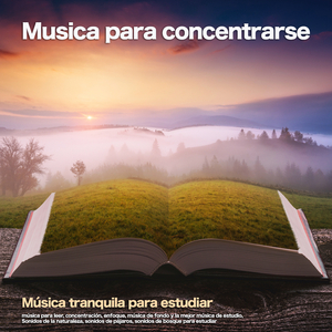 Musica para leer