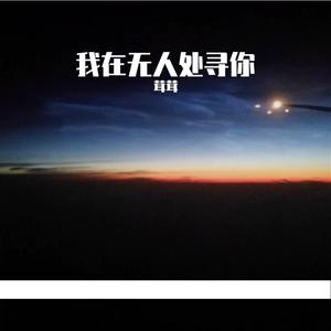 我在无人处寻你