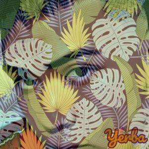 拥抱着并不完美的世界