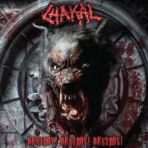 Anubis The Lord Of Necropolis