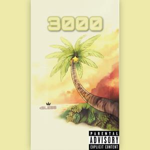 3000 (Beach Picnic)