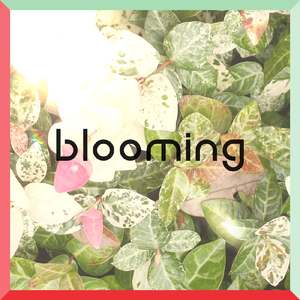 blooming