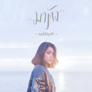 ทนได้ทุกที