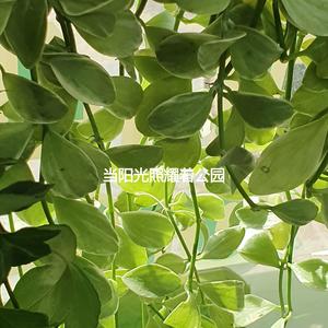 Chilled Stormy Rainy Days