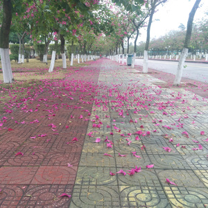 相爱♥在一起-谢汶桦2017一月