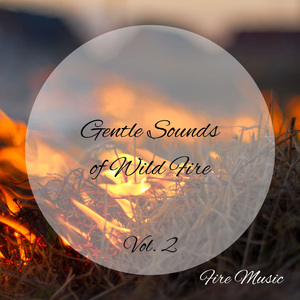 We Didn't Start The Fire