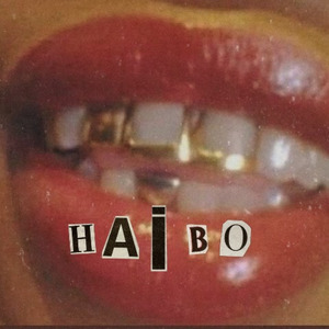 Haibo