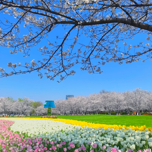 时光盒子里的小透