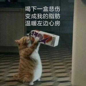 再见吧喵小姐