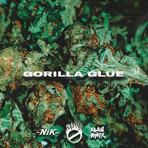 Gorilla Glue