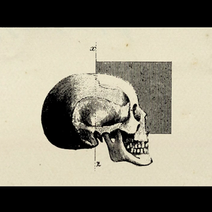 AIRHEAD （ガランド）（翻自 初音ミク）