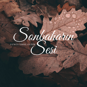 Sonbaharın Sesi
