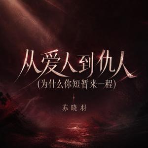 从爱人到仇人(为什么你短暂来一程)