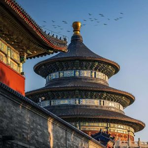 2025的微光