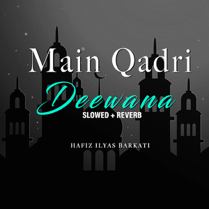 Main Qadri Deewana (Lofi-Mix)
