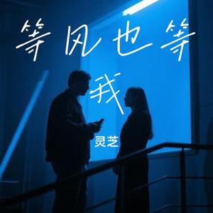 等风也等我