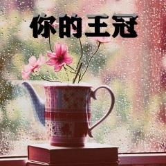 你是我曾经拼命爱过的人 (运动版)