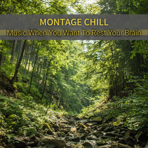 Hush of the Dim Night