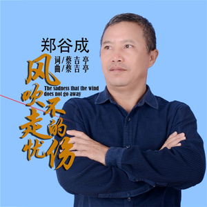 风吹不走的忧伤
