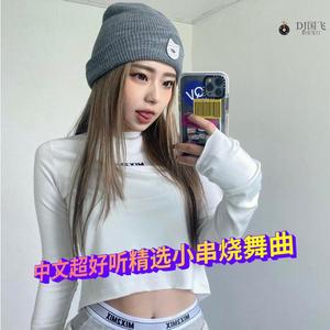DJ国飞-中文超好听精选小串烧舞曲（DJ国飞 remix）