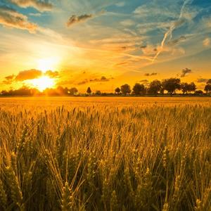 在同一片阳光下