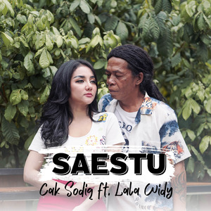 Saestu