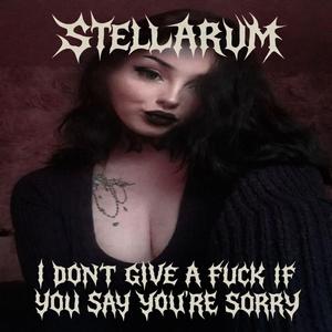I Don't Give A **** If You Say You're Sorry