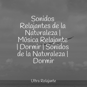 Creatividad