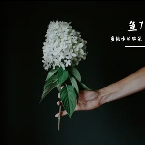 水手