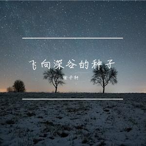 飞向深谷的种子