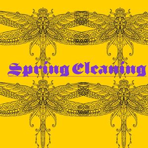 Spring Leaner