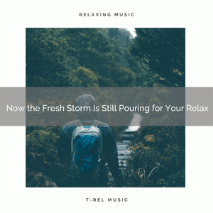 Perfect and Great Rain Drops Sounds for You to Have Sweet Dreams