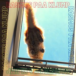 Ni Liv for Meget (Unplugged) (Unplugged)