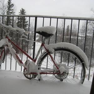 Do it Well Mia-tunes