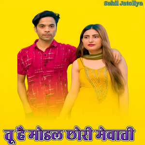 तू है मोडल छोरी मेवाती