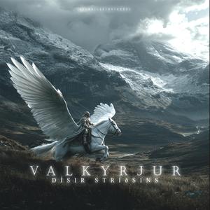 Valkyrjur – Dísir Stríðsins | Valkyries – Spirits of War